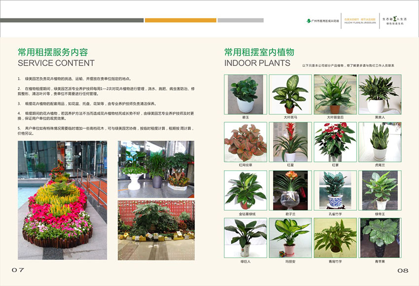 廣州花場苗木畫冊設計,花場苗木畫冊設計公司 廣州花場苗木畫冊設計,花場苗木畫冊設計公司