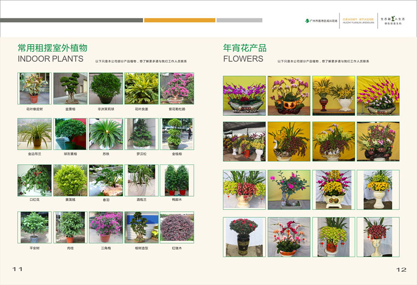 廣州花場苗木畫冊設計,花場苗木畫冊設計公司 廣州花場苗木畫冊設計,花場苗木畫冊設計公司