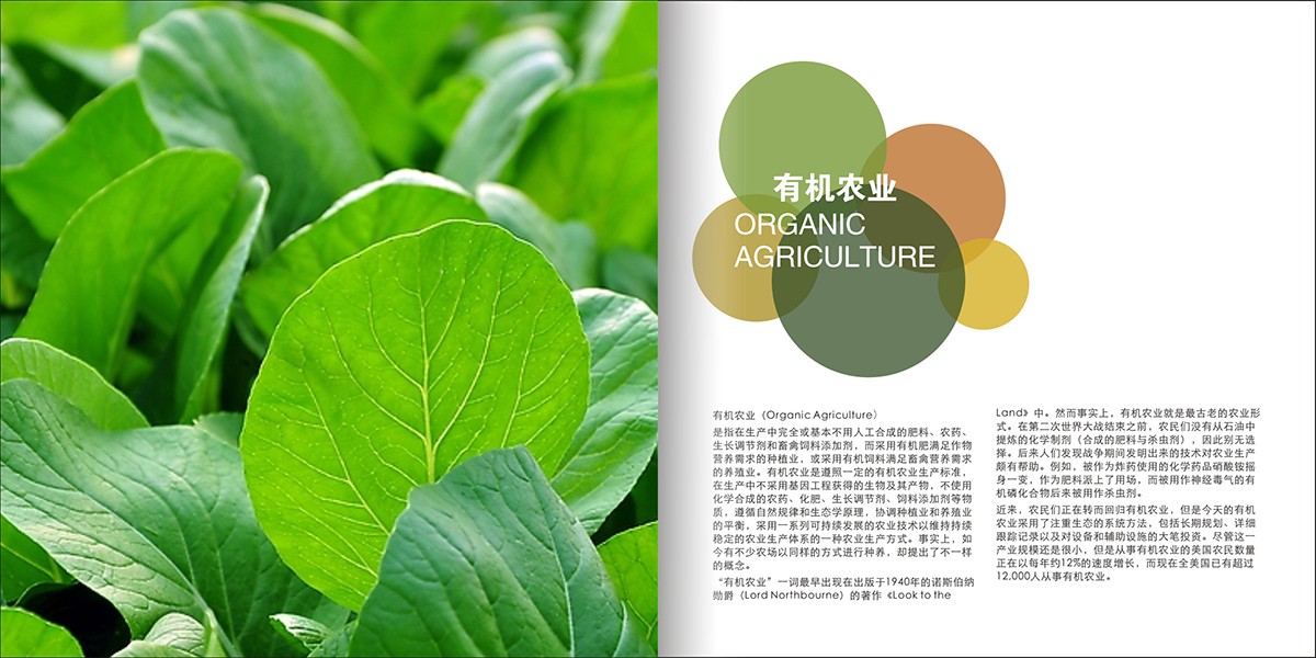 莊園畫冊設計,莊園宣傳畫冊設計公司 莊園畫冊設計,莊園宣傳畫冊設計公司