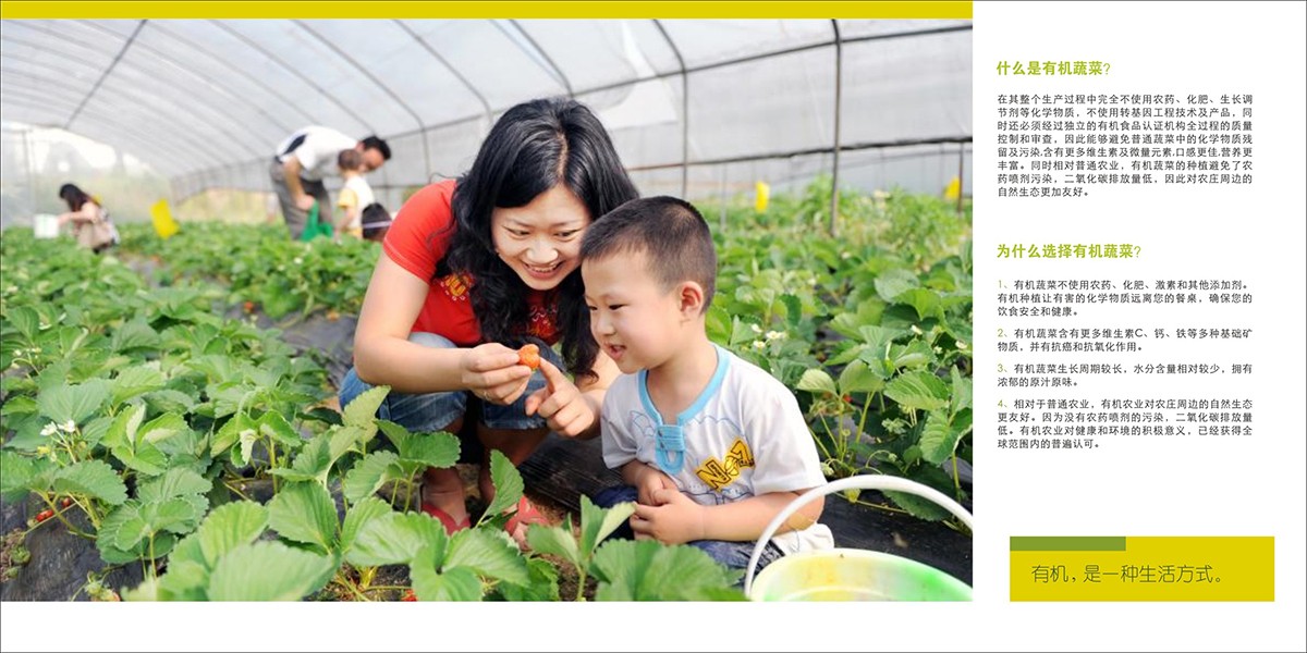 莊園畫冊設計,莊園宣傳畫冊設計公司 莊園畫冊設計,莊園宣傳畫冊設計公司