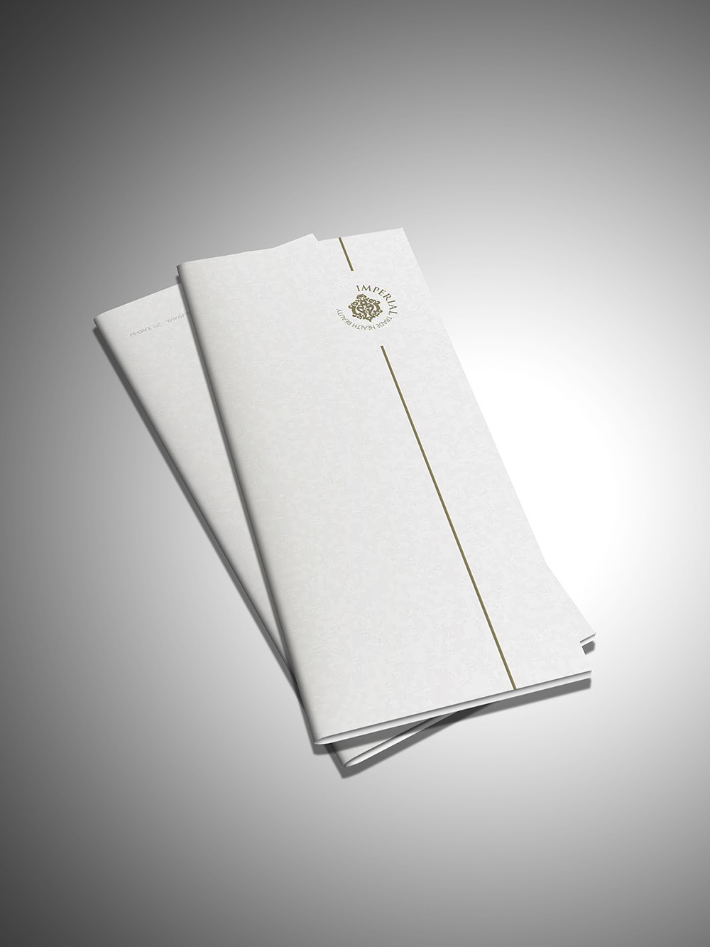 美博會展會品牌宣傳設計,美博會宣傳冊設計 美博會展會品牌宣傳設計,美博會宣傳冊設計