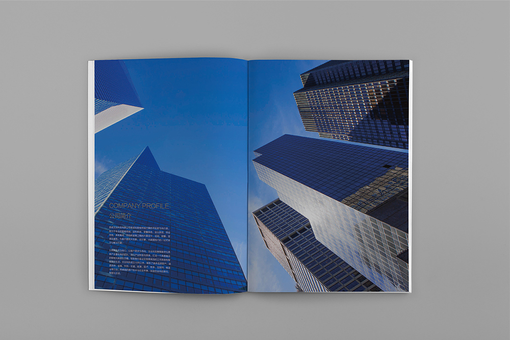 科技畫冊設(shè)計(jì)可以輔佐企業(yè)完結(jié)整改企業(yè)形象的整體設(shè)計(jì)