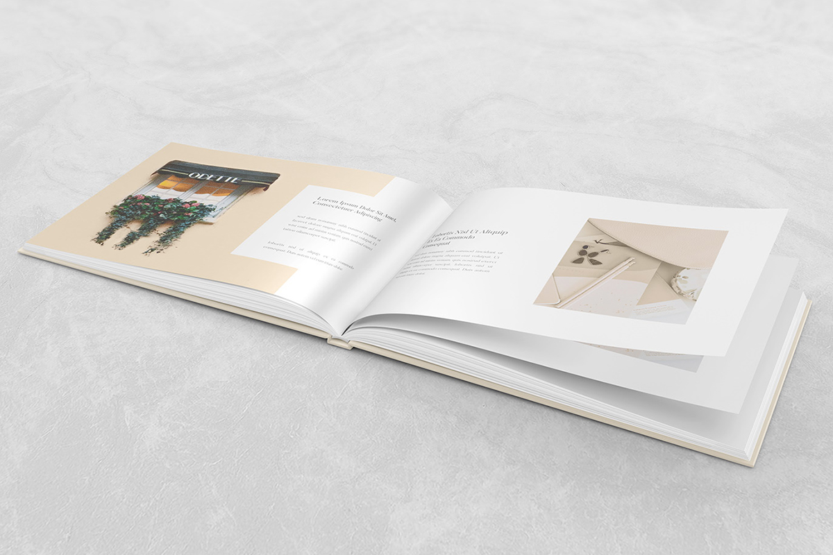 企業畫冊設計一本需要多少錢 企業畫冊設計一本需要多少錢