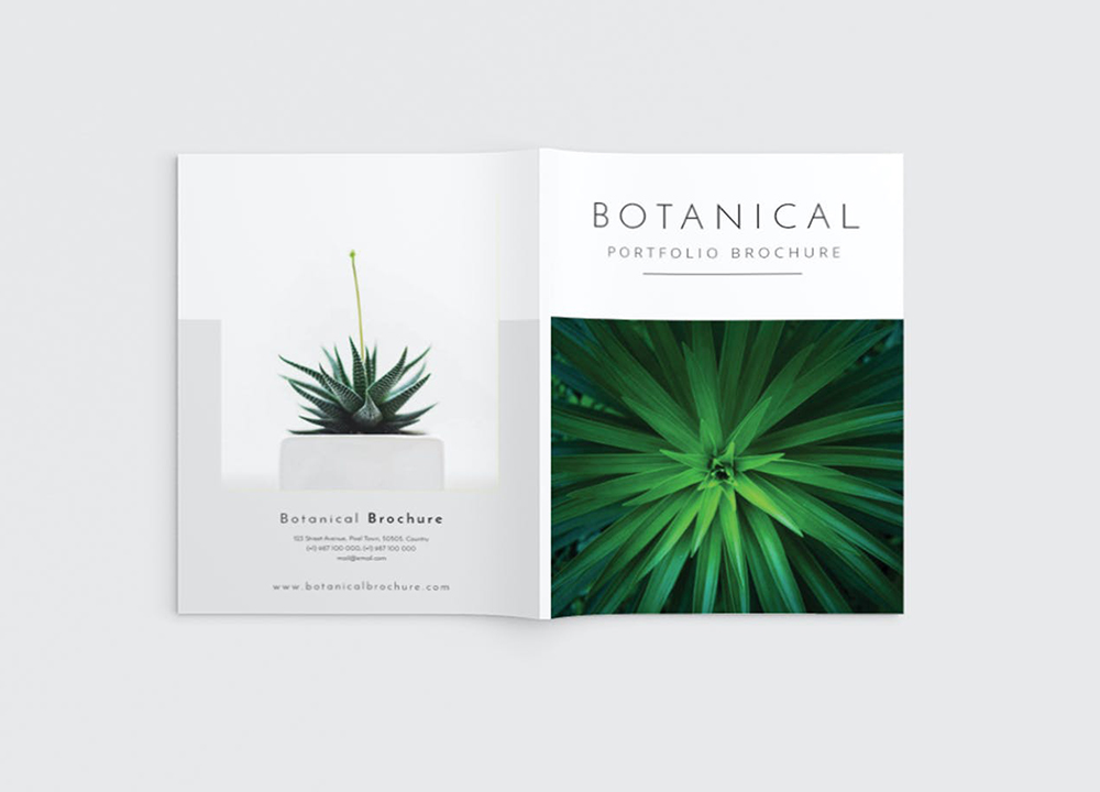 封面的作用是什么? 封面的作用是什么?