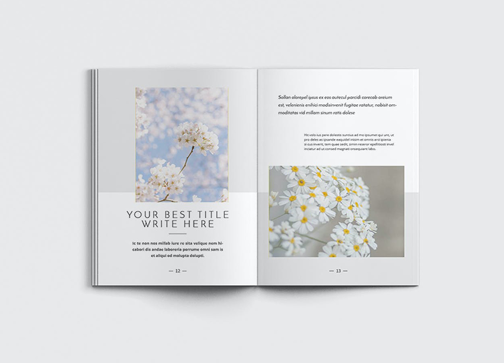 設(shè)計一本畫冊多少錢