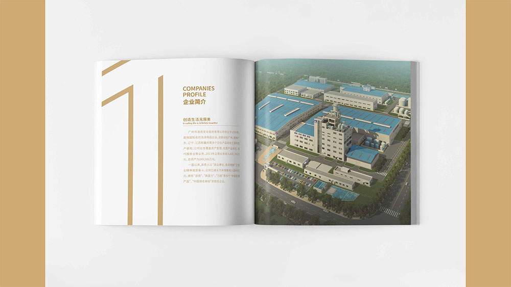 洗滌用品企業紀念冊設計,集團紀念冊設計公司 洗滌用品企業紀念冊設計,集團紀念冊設計公司