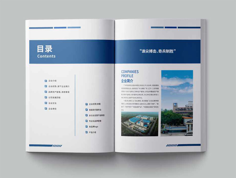 洗滌用品集團冊設計,集團冊設計公司 洗滌用品集團冊設計,集團冊設計公司