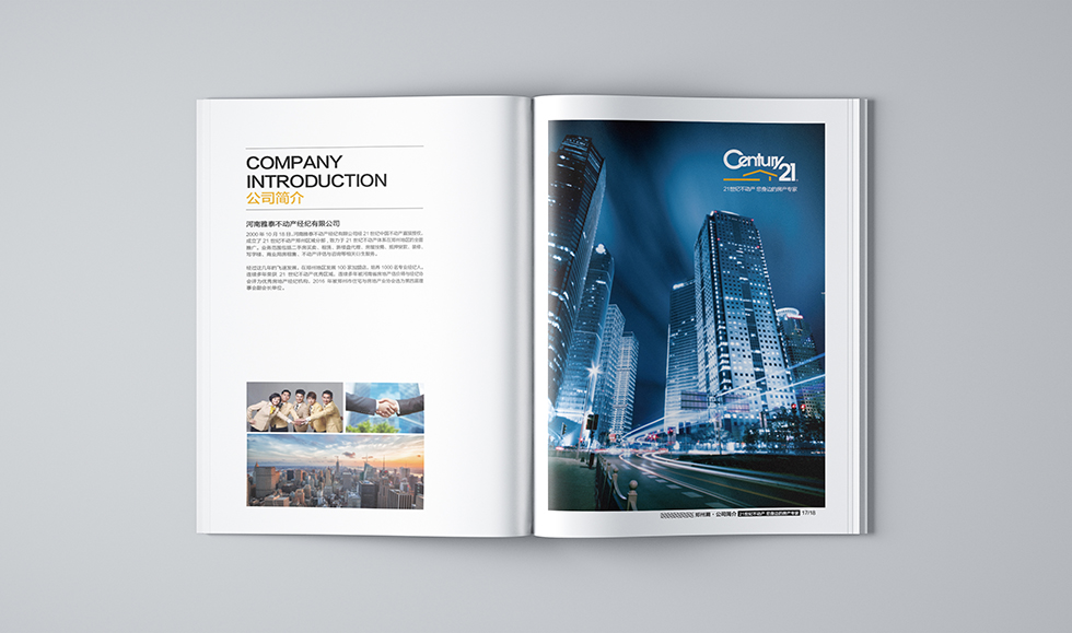 中國(guó)畫(huà)冊(cè)設(shè)計(jì)