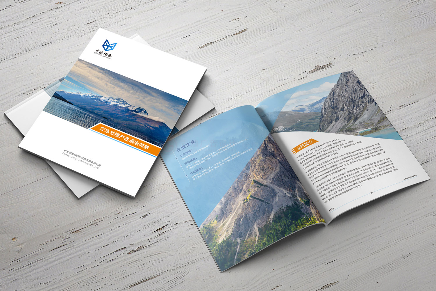 企業(yè)宣傳冊設(shè)計公司 企業(yè)宣傳冊設(shè)計公司