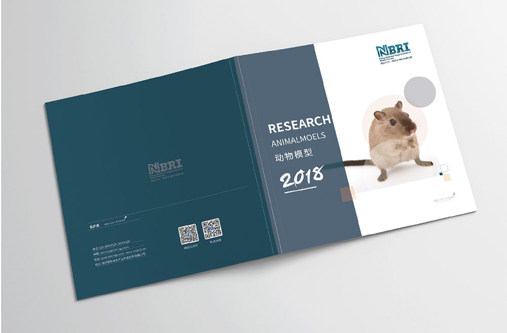 模型企業畫冊設計,模型企業畫冊設計公司 模型企業畫冊設計,模型企業畫冊設計公司