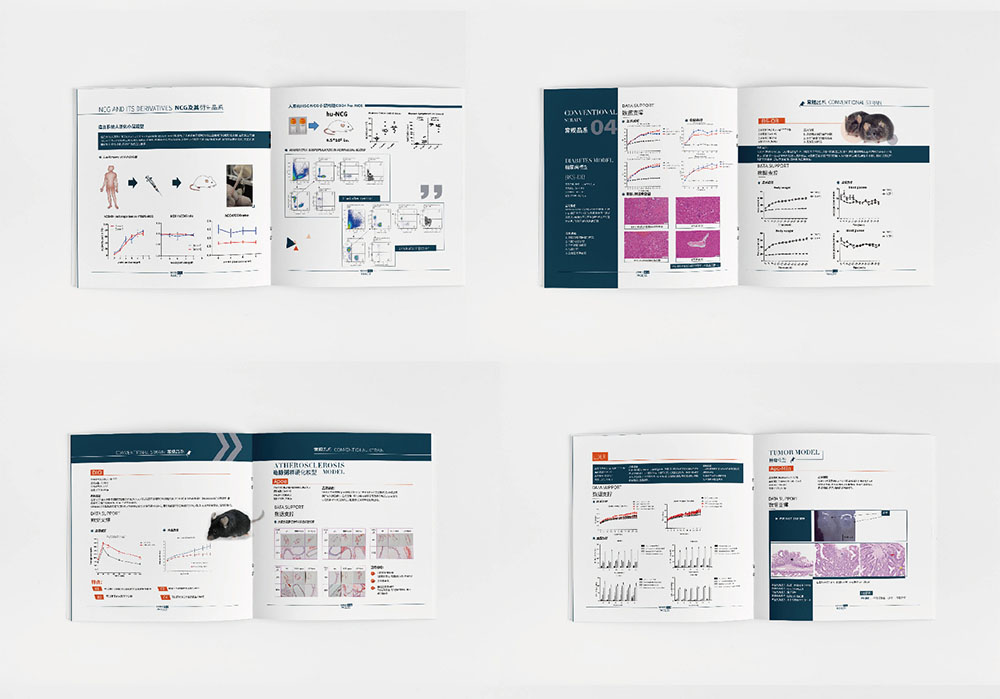 模型企業畫冊設計,模型企業畫冊設計公司 模型企業畫冊設計,模型企業畫冊設計公司
