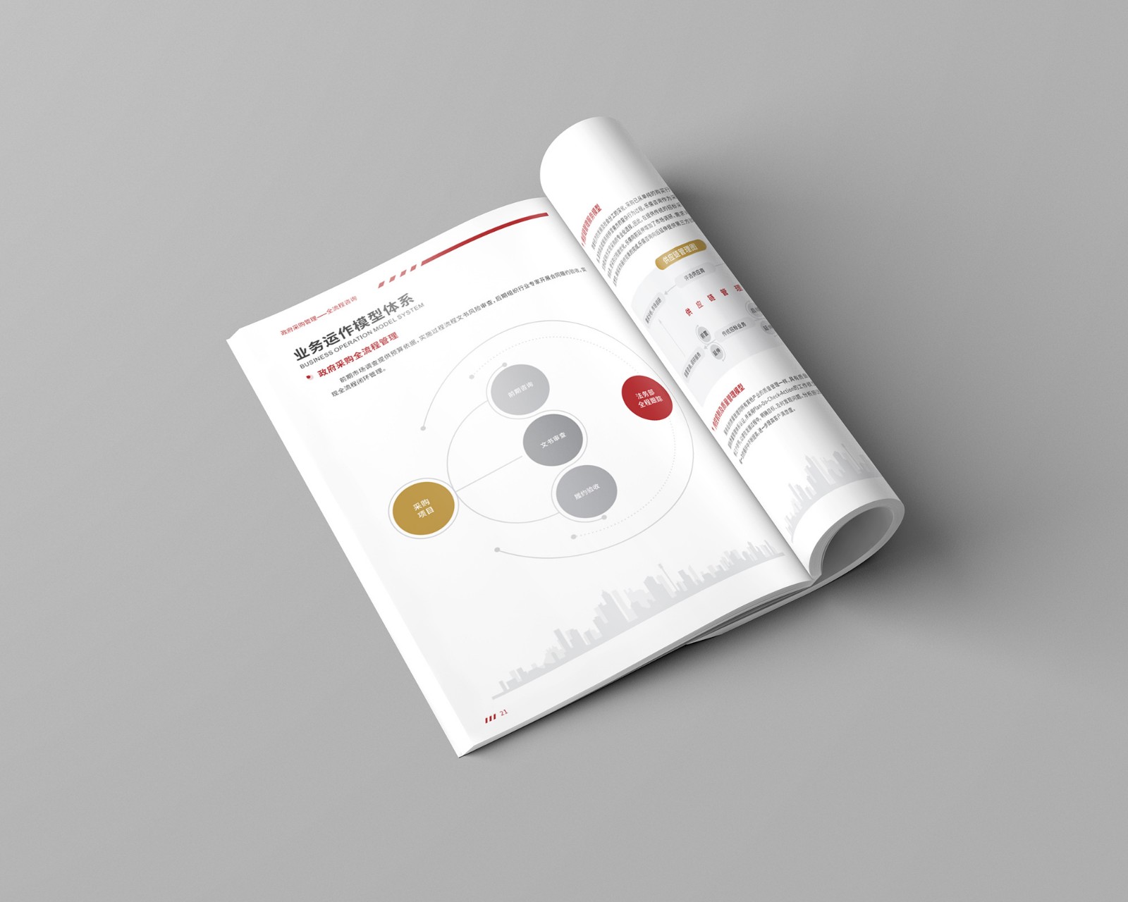 政府采購公司畫冊設計 政府采購公司畫冊設計