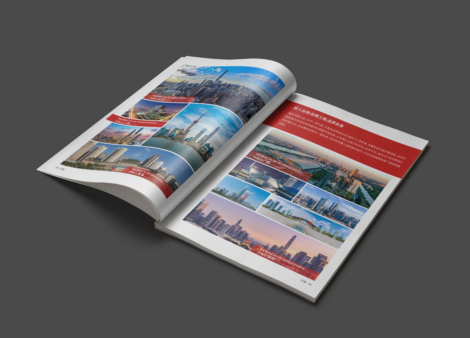 鋁單板畫冊設計,鋁單板幕墻畫冊設計公司 鋁單板畫冊設計,鋁單板幕墻畫冊設計公司