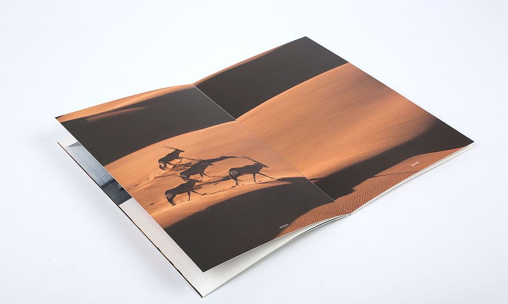 服裝企業(yè)畫冊(cè)設(shè)計(jì),服裝企業(yè)畫冊(cè)設(shè)計(jì)公司 服裝企業(yè)畫冊(cè)設(shè)計(jì),服裝企業(yè)畫冊(cè)設(shè)計(jì)公司