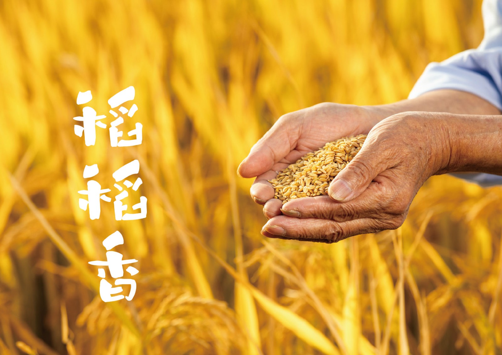 大米VI設計,農產品VI設計,食品行業VI設計公司 大米VI設計,農產品VI設計,食品行業VI設計公司