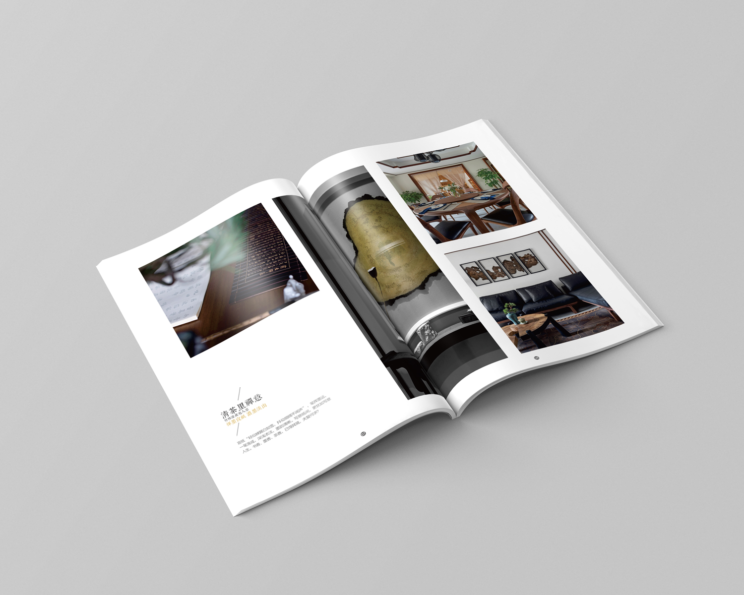 廣州畫(huà)冊(cè)設(shè)計(jì)專(zhuān)業(yè)公司