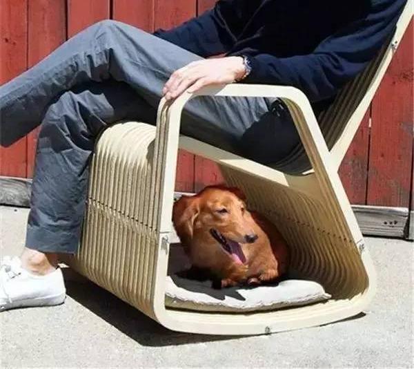 國外寵物創意產品設計 國外寵物創意產品設計