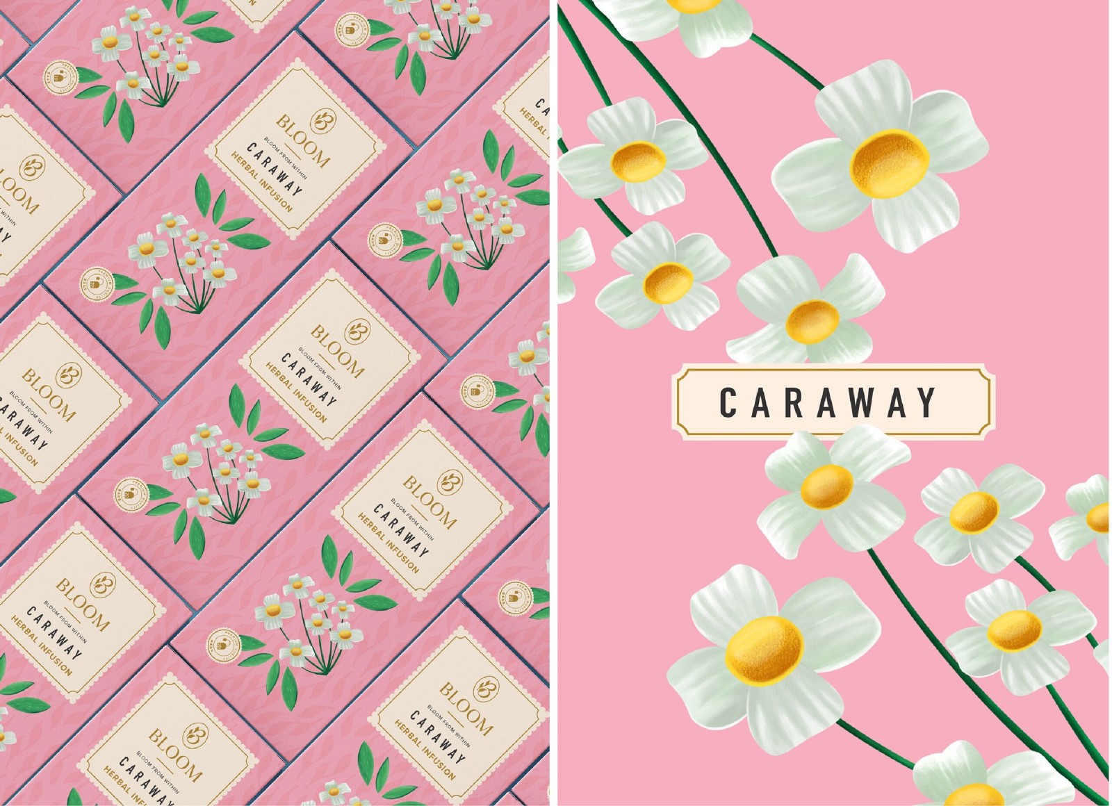 2022菊花茶包裝設(shè)計,菊花茶包裝設(shè)計案例,花茶包裝設(shè)計案例欣賞 2022菊花茶包裝設(shè)計,菊花茶包裝設(shè)計案例,花茶包裝設(shè)計案例欣賞