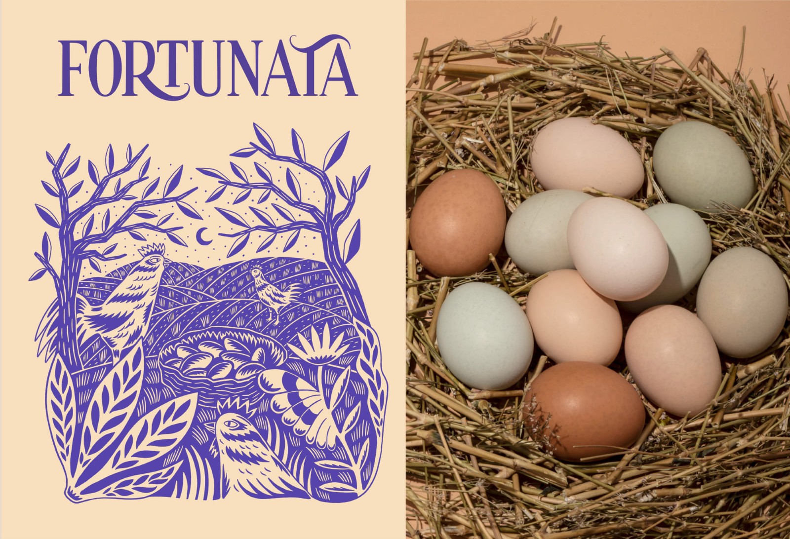 土雞蛋包裝設計,土雞蛋包裝設計公司 土雞蛋包裝設計,土雞蛋包裝設計公司