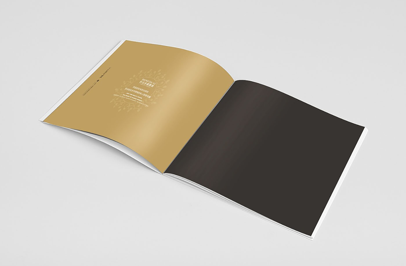 醫(yī)美集團(tuán)畫冊設(shè)計-醫(yī)美行業(yè)畫冊設(shè)計公司 醫(yī)美集團(tuán)畫冊設(shè)計-醫(yī)美行業(yè)畫冊設(shè)計公司