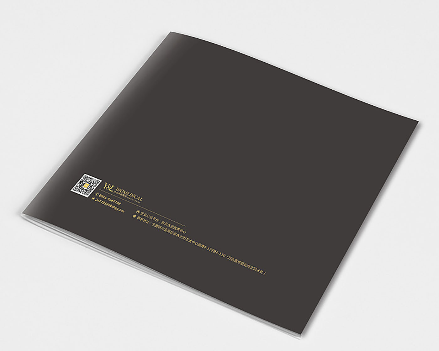 醫(yī)美集團(tuán)畫冊設(shè)計-醫(yī)美行業(yè)畫冊設(shè)計公司 醫(yī)美集團(tuán)畫冊設(shè)計-醫(yī)美行業(yè)畫冊設(shè)計公司