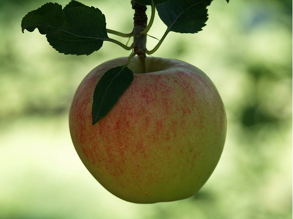 logo設(shè)計(jì)技巧,創(chuàng)意logo設(shè)計(jì)方法 logo設(shè)計(jì)技巧,創(chuàng)意logo設(shè)計(jì)方法