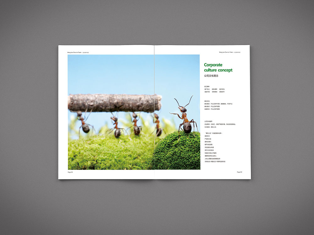 貿易行業畫冊設計,貿易行業畫冊設計公司 貿易行業畫冊設計,貿易行業畫冊設計公司