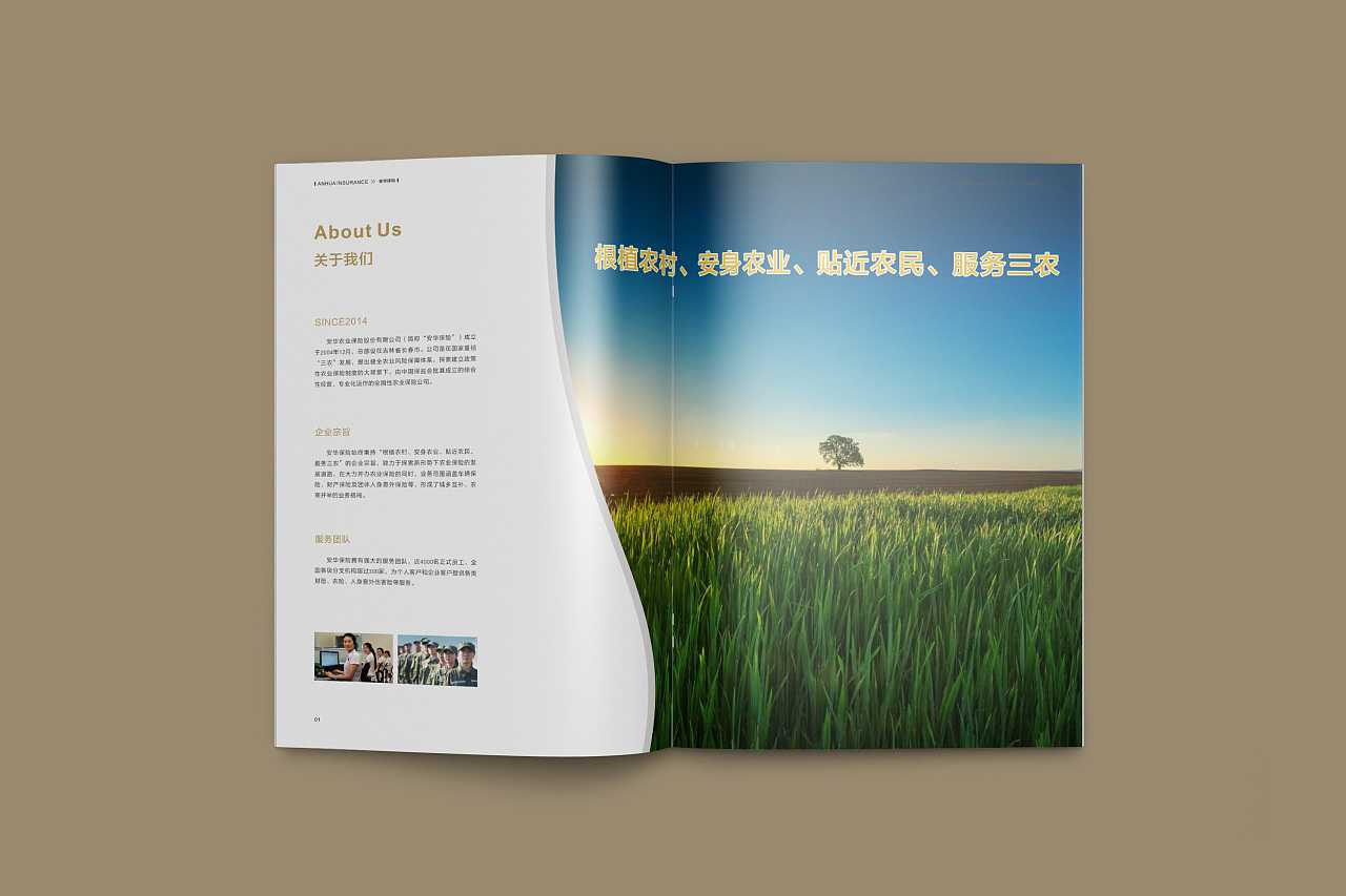 成都企業為什么要選擇高端宣傳冊設計公司呢? 成都企業為什么要選擇高端宣傳冊設計公司呢?