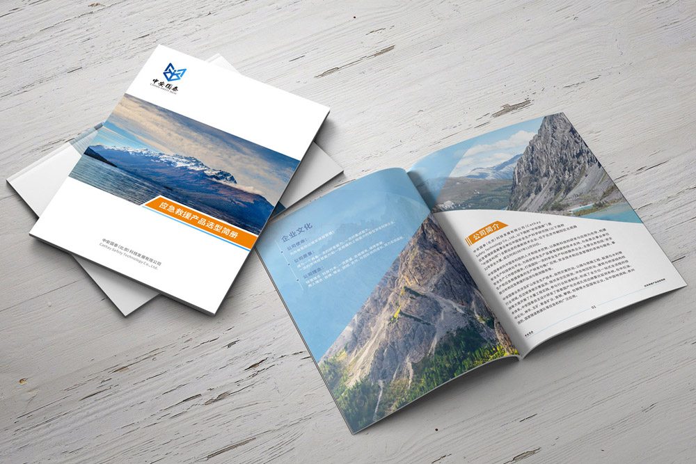 做一本畫冊(cè)設(shè)計(jì)會(huì)不會(huì)？