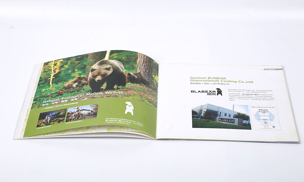 公司宣傳畫冊設(shè)計(jì)制作需要多大？